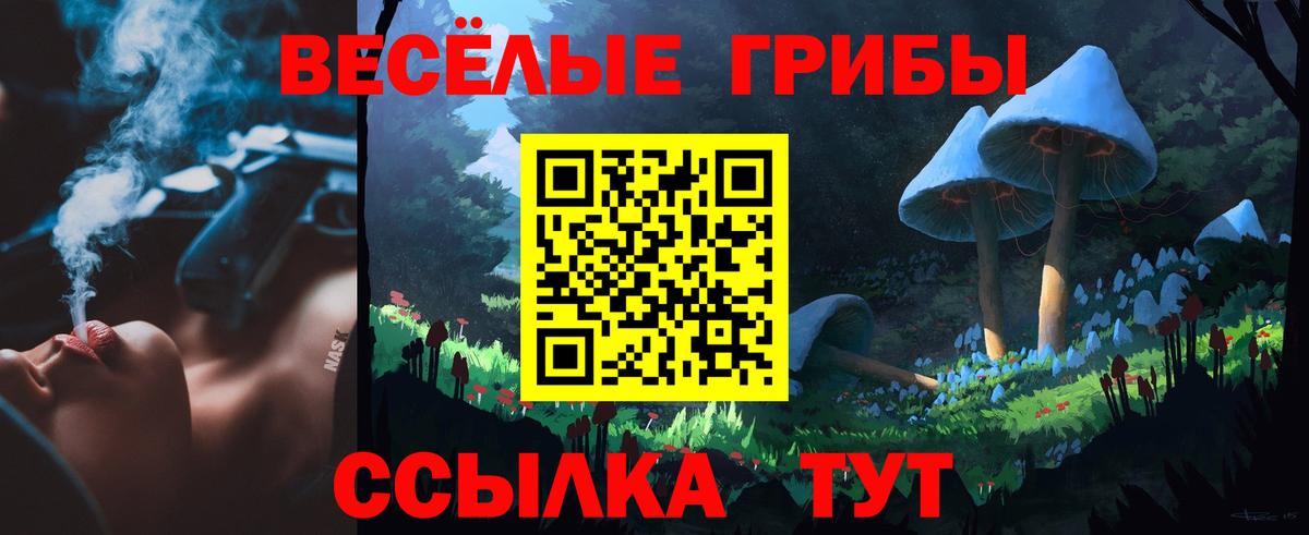 купить закладку  Псилоцибиновые грибы мухоморы  Вход с VPN  Галлюциногенные грибы мухоморы  Шадринск 