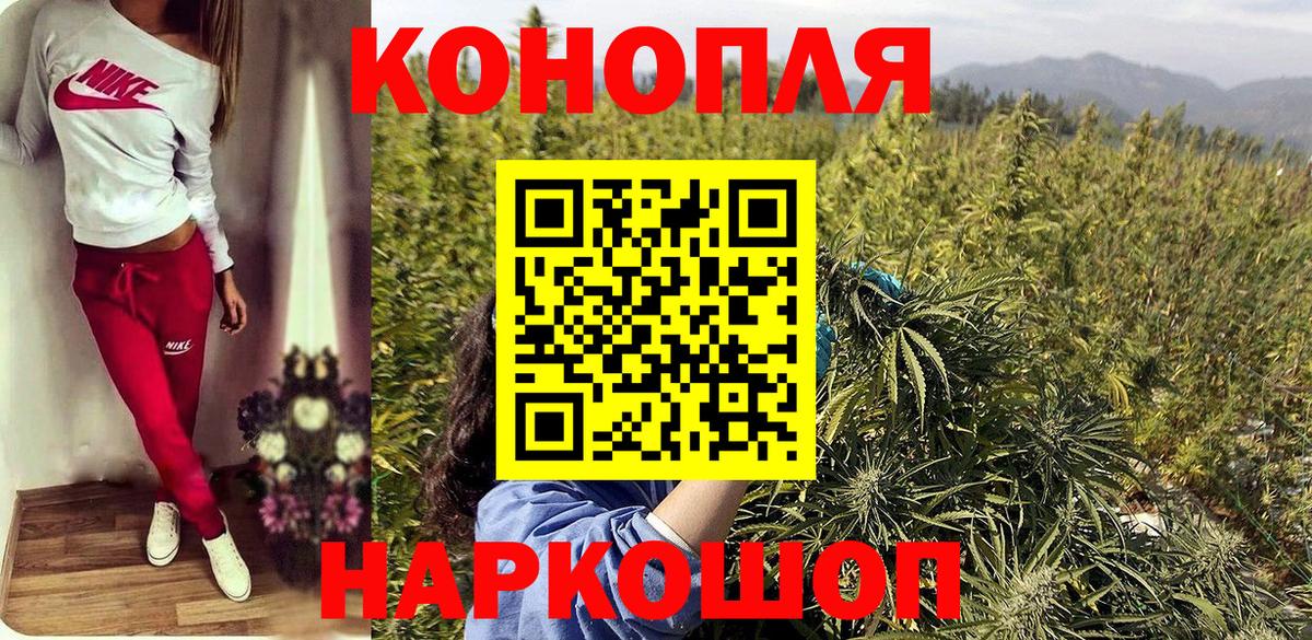 Конопля гибрид Шадринск